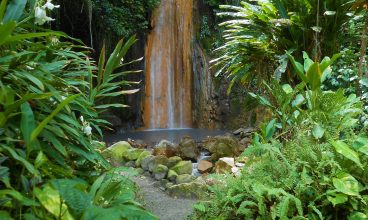 Diamond Falls Botanical Gardens and Mineral Baths