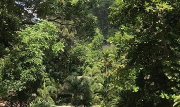 Konoko Falls and Park