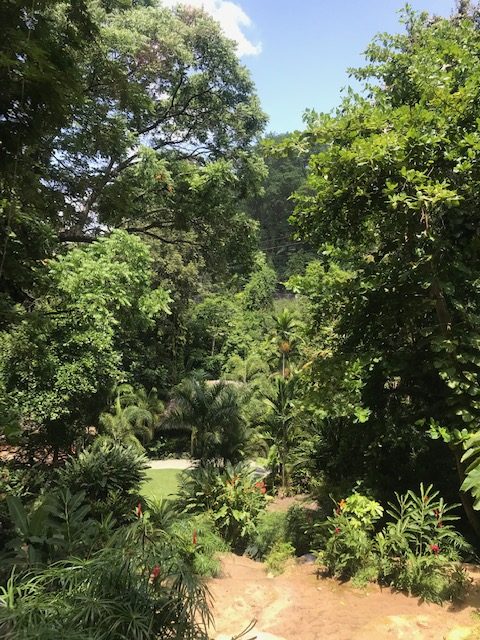 Konoko Falls and Park