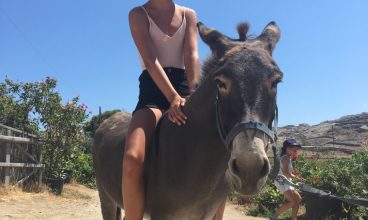 Mykonos Vioma Organic Farm