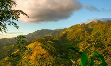 Blue Mountain Bicycle Tours LTD