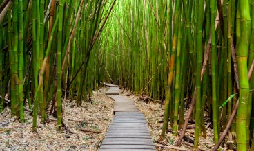 Haleakalā National Park